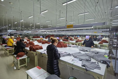 立足產業優勢，穩步推進紡織技術開發——寧夏靈武市高質量建設現代紡織先行區