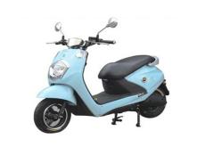 專用電瓶車 高效、節(jié)能、多場(chǎng)景應(yīng)用的綠色動(dòng)力解決方案